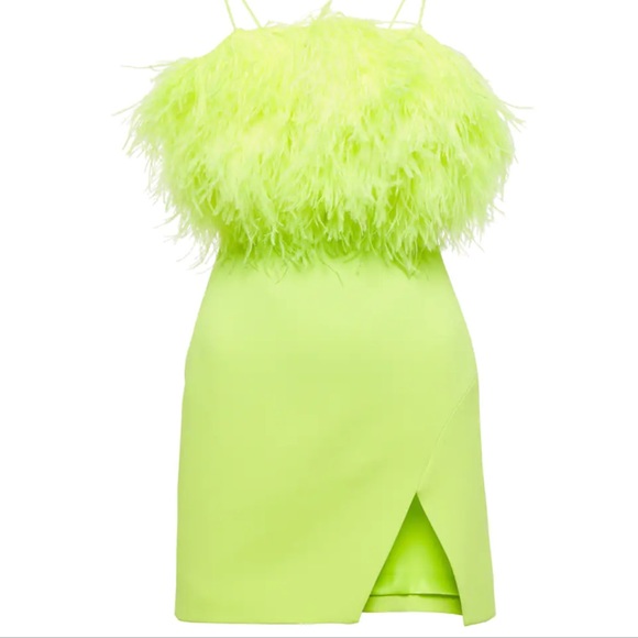 Dresses | Soldunavailable David Koma Feather Embellished Cady Minidress |  Poshmark